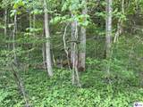 0 River Bluff Beach Road - Photo 22