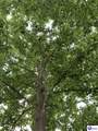 104 Antler Court - Photo 9