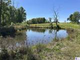  Post Tousey Road - Photo 62