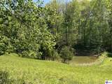 539 Brushy Road - Photo 16