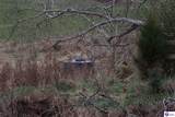 0 Fisher Ridge Road - Photo 10