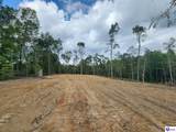 Tract 1 Leitchfield Road - Photo 3