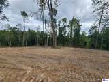 Tract 1 Leitchfield Road - Photo 4