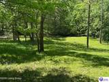 199 Lickskillet Drive - Photo 84