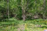 453 Cheslon Road - Photo 42