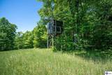 1228 Mcgrew Church Road - Photo 12