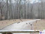 1020 Yates Chapel Road - Photo 42