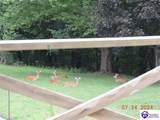 1020 Yates Chapel Road - Photo 43