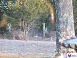 1020 Yates Chapel Road - Photo 44