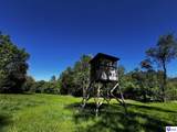 1000 Dawson Hollow N Rd - Photo 23
