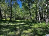 1000 Dawson Hollow N Rd - Photo 5
