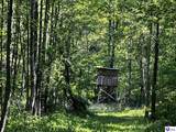 1000 Dawson Hollow N Rd - Photo 6