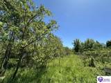 21.99 ac Jack Chappell Road - Photo 2
