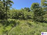 21.99 ac Jack Chappell Road - Photo 4