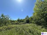 21.99 ac Jack Chappell Road - Photo 6