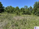 21.99 ac Jack Chappell Road - Photo 9