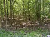 Lot 569 Raspberry Court - Photo 2