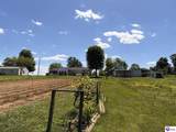 302 Tabernacle Road - Photo 6