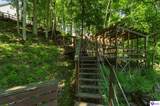 432 Long Needle Road - Photo 78