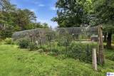 783 Philpott Road - Photo 43
