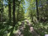 1999 Olin Road - Photo 45