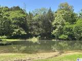 1999 Olin Road - Photo 64