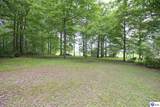 165 Mayapple Lane - Photo 43