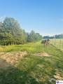 94 Risen Cemetery Road - Photo 29