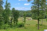 7213 Hammonsville Road - Photo 36