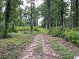 7213 Hammonsville Road - Photo 40