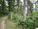 7213 Hammonsville Road - Photo 41