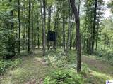 7213 Hammonsville Road - Photo 42