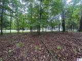 0 Red Wing Road - Photo 5