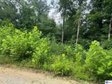 0 Ted Logsdon Road - Photo 1