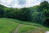 260 Maple Hill Spur Road - Photo 12