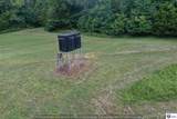 260 Maple Hill Spur Road - Photo 13