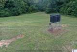 260 Maple Hill Spur Road - Photo 14