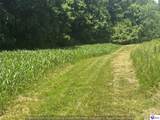260 Maple Hill Spur Road - Photo 41