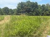 260 Maple Hill Spur Road - Photo 42