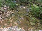 260 Maple Hill Spur Road - Photo 44