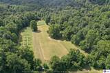 260 Maple Hill Spur Road - Photo 6