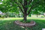 548 Brentmoor Avenue - Photo 59