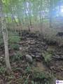 parcel 4 Lyons-Daugherty Road - Photo 4