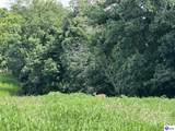 00 Capps Road - Photo 11