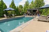 8202 Harrods View Court - Photo 74