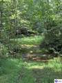 Trct 1B/Trct 2 Dangerfield Road - Photo 4
