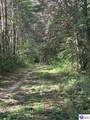Trct 1B/Trct 2 Dangerfield Road - Photo 7