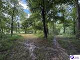 Tract G Sutzer Creek Road - Photo 17