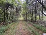 Tract G Sutzer Creek Road - Photo 18