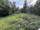Tract G Sutzer Creek Road - Photo 19
